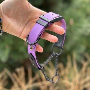 May include: A purple dog collar with black hardware, including a buckle, D-ring, and chain leash. The collar features a small charm with a heart and key design. The collar is held in a hand against a blurred green background.
