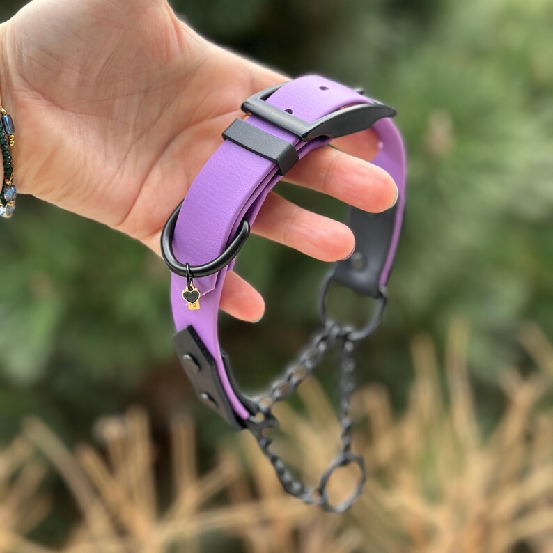 May include: A purple dog collar with black hardware, including a buckle, D-ring, and chain leash. The collar features a small charm with a heart and key design. The collar is held in a hand against a blurred green background.