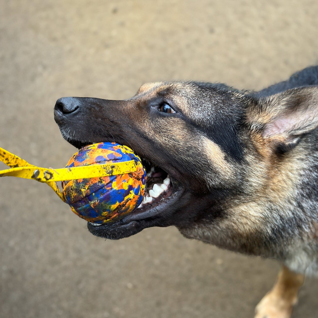 Waterproof Biothane Floating Fetch Toy: High Visibility Dog Ball - Etsy