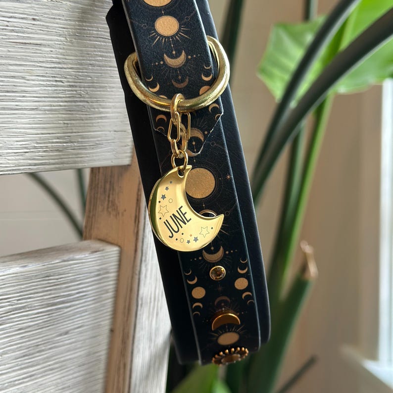 Puede incluir: Collar de perro de cuero negro con detalles dorados y un dije de media luna grabado con la palabra "JUNIO".