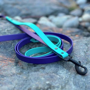 May include: Two dog leashes, one teal blue and one purple, are coiled together on a rocky surface. The leashes have black metal clasps.