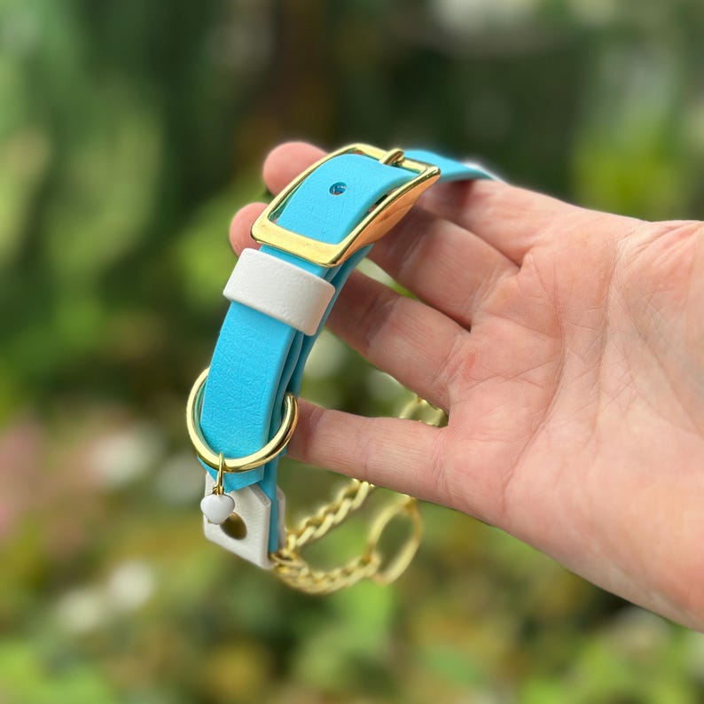 Adjustable Martingale Dog Collar, Waterproof Biothane, Traditional Buckle image 7
