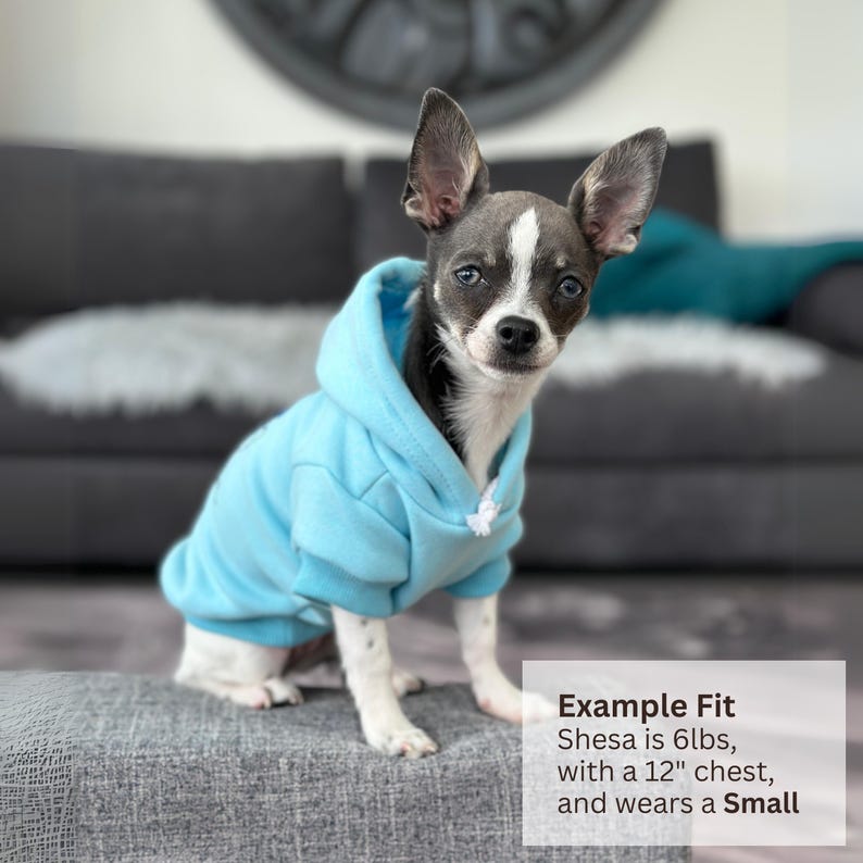 May include: A small dog with a white and grey face wearing a light blue hooded sweatshirt. The hoodie features a hood and white drawstring cords. Text on the image states: Example Fit, Shesa is 6lbs, with a 12 inch chest, and wears a Small.