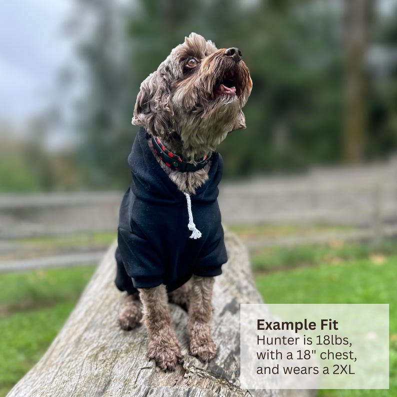 May include: A small brown dog wearing a solid black hooded sweatshirt with a white drawstring. The dog has a dark collar with red accents. Text on the image states: Example Fit Hunter is 18lbs, with a 18 inch chest, and wears a 2XL.