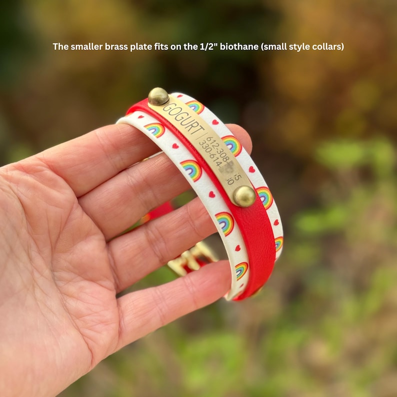 May include: A white collar with a rainbow and red heart pattern, layered with a solid red strap. A brass nameplate is attached with two rivets, engraved with the text GOGURT and phone numbers. The smaller brass plate fits on the 1/2" biothane.