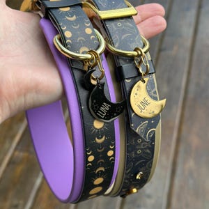 Puede incluir: Dos collares para perros con dijes de luna y estrella dorados. Los collares son negros con detalles dorados y uno es morado. Los dijes tienen los nombres "Luna" y "June" en ellos.