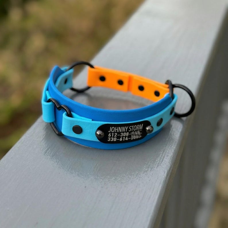 Puede incluir: Un collar para mascotas multicolor con segmentos en azul brillante, azul claro y naranja con herrajes negros. Se incluye una placa de identificaci&oacute;n ovalada negra con el nombre JOHNNY STORM y dos n&uacute;meros de tel&eacute;fono en texto blanco.