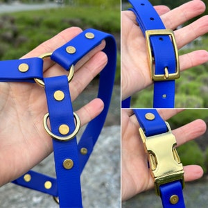 Puede incluir: Un arn&eacute;s azul vibrante para mascotas con herrajes met&aacute;licos dorados. El arn&eacute;s presenta un dise&ntilde;o de anillo y hebilla, con remaches que aseguran las correas. Los primeros planos resaltan los detalles del hardware y la calidad del material.