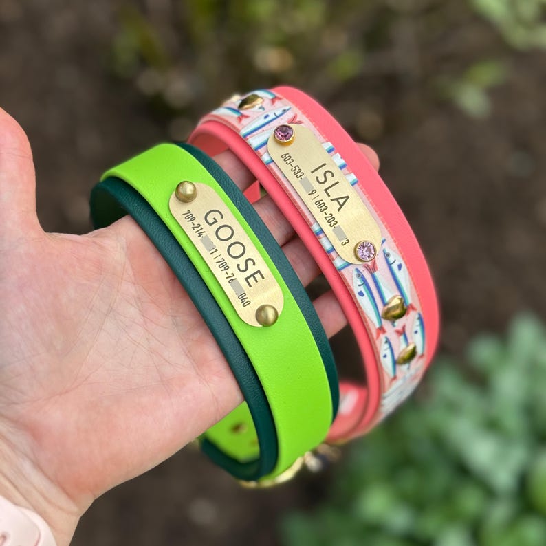 May include: Two pet collars with metal identification tags. One collar is solid lime green with a brass tag engraved with GOOSE and phone numbers. The other is coral pink with a fish pattern, a brass tag engraved with ISLA and phone numbers.
