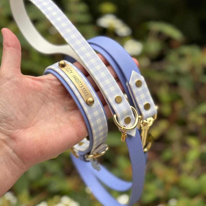 May include: A light blue and white gingham patterned dog collar and leash set with solid light blue backing. The collar features a brass nameplate engraved with the text OZZY (440)773-5555 and brass hardware including a D-ring and rivets.
