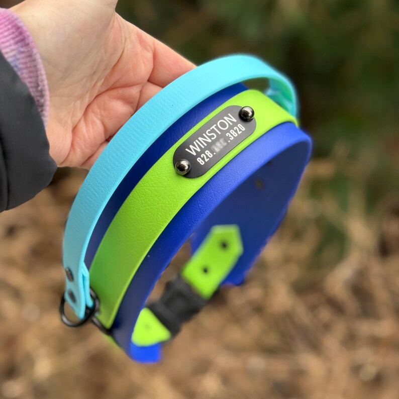 Puede incluir: Un collar para mascotas de varias capas con una correa exterior azul claro, una capa intermedia verde lima brillante y un forro interior azul oscuro. Una placa negra muestra el nombre WINSTON y un n&uacute;mero de tel&eacute;fono en letras blancas.