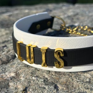 Coleira Martingale à prova d&#39;água com nome dourado, coleira personalizada de biotano para cães, corrente anti-estrangulamento