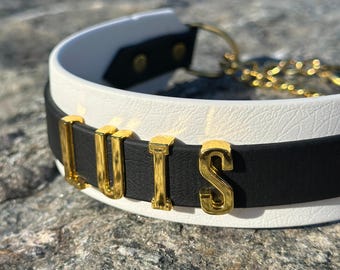 Waterproof Gold Name Martingale Collar, Custom Biothane Dog Collar, No-choke Chain