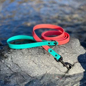 May include: A dual-colored dog leash featuring a vibrant teal section and a coral-pink section. The leash is constructed from a smooth, flat material and includes black metal hardware, specifically a swivel snap hook and two rivets securing the strap.