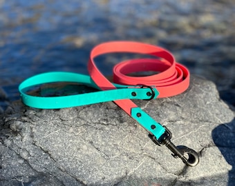 3/4&quot; Multi-color Waterproof Leash, Custom Biothane