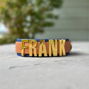 Peut inclure: Un collier de chien en cuir bleu et marron avec des lettres en métal doré qui épellent "FRANK".