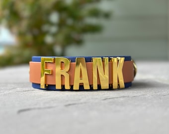 Giant Letters Custom Name Dog Collar, Wide Waterproof Biothane