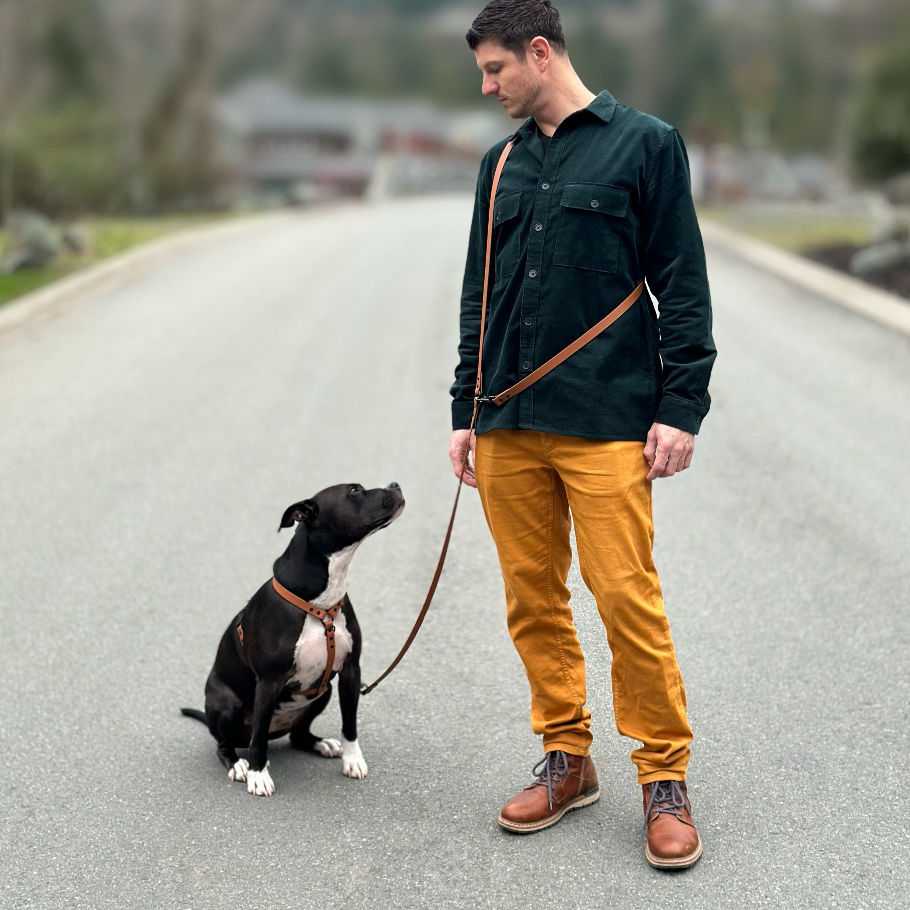 Dog lead belt 2025