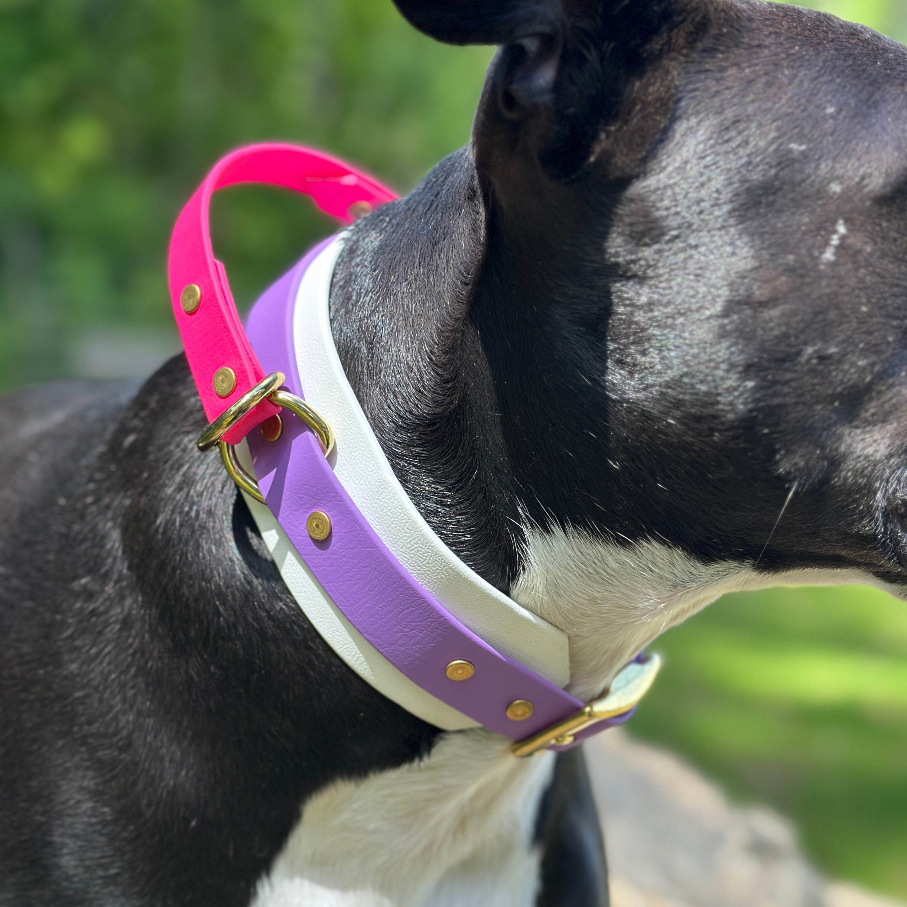 2" Adjustable Collar with Handle, Custom Waterproof Biothane Tactical Collar