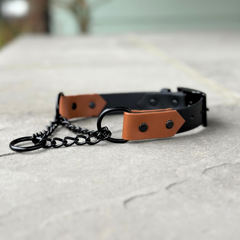 Adjustable Martingale Dog Collar, Waterproof Biothane, Traditional Buckle image 5