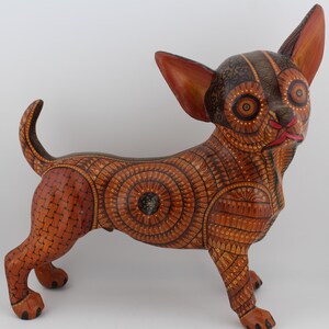 Protecting Red Chihuahua