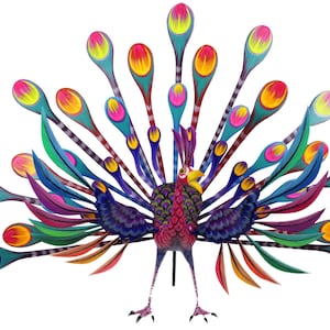 colorful peacock
