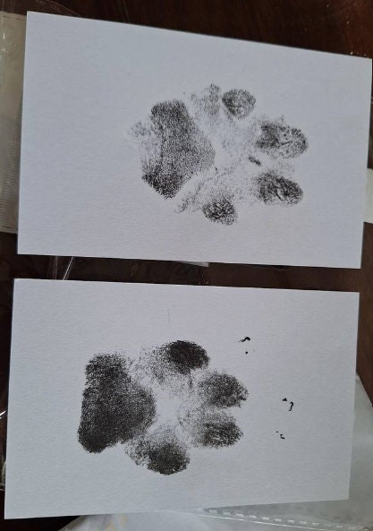 Footprints, Handprints, Pet Prints Touchless Ink Pad - Etsy