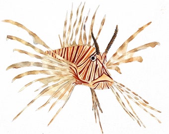 Lionfish Giclée Print