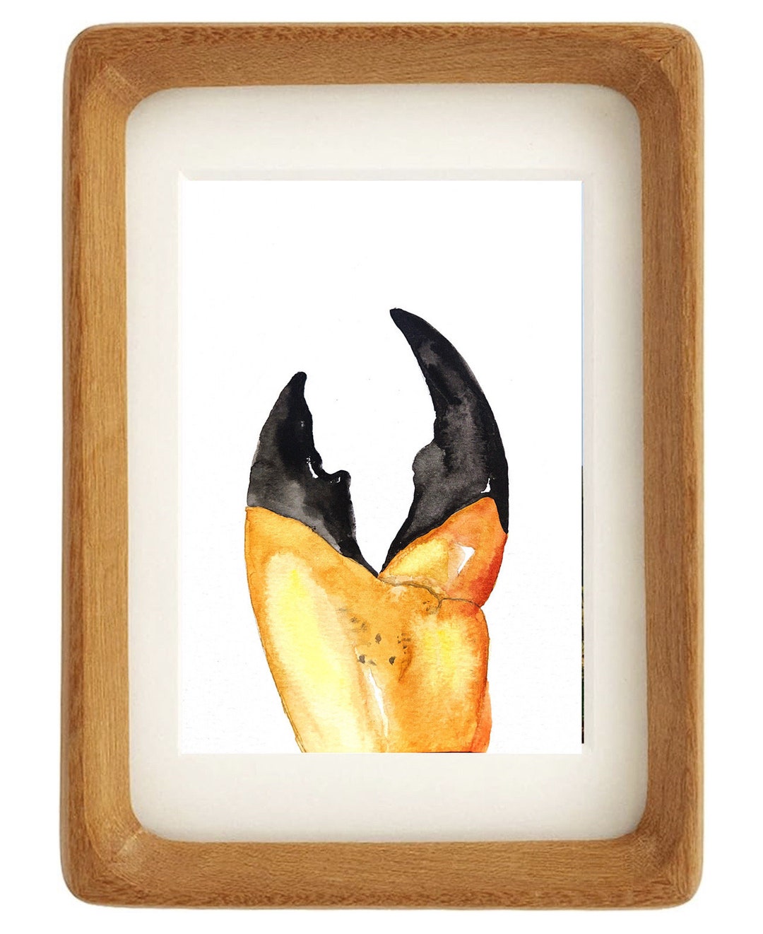 Original Crab Claw Watercolor Painting Etsy