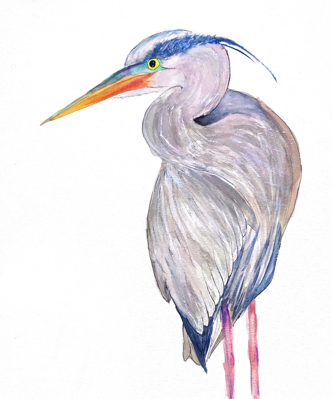 Blue Heron Giclée Print - Etsy