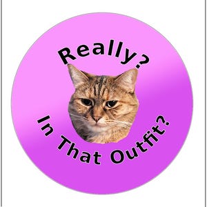 Really, In That Outfit?