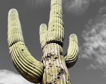 Saguaro Kaktus Wand Kunst Digitaler Download | Wüste Fotografie Druck | Südwesten Boho Wohndekor | Kaktus druckbare Poster