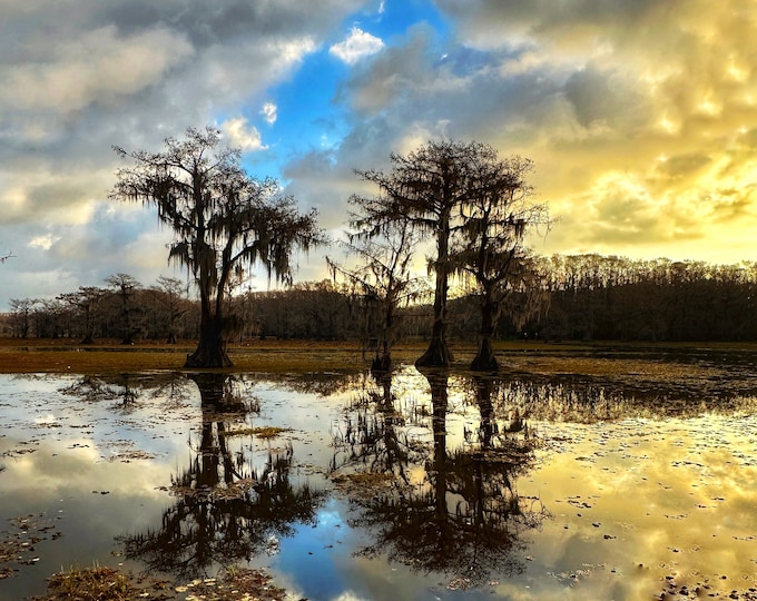 Caddo Lake Sunrise