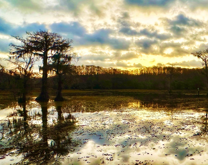 Caddo Lake, Uncertain Texas Print: Atmospheric Lake Landscape