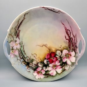 Bavarian Hand-painted Floral Plate