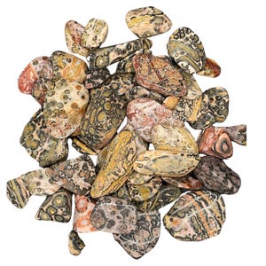 Leopard Skin Jasper Tumbled Stone [5pc]