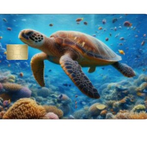 Diseño de tarjeta de crédito de tortuga marina, diseño de tarjeta de débito, diseño de tarjeta de crédito