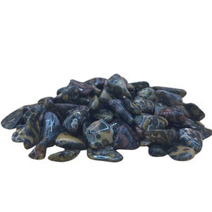 Leopard Skin Jasper Tumbled Stone [5pc]