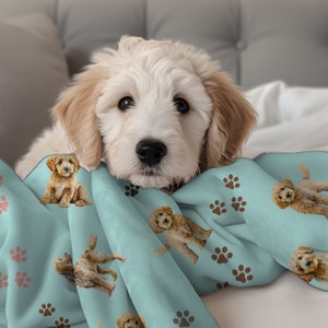 May include: A white and brown dog with curly fur is lying on a blue blanket with a paw print pattern. The blanket is on a white and gray couch.