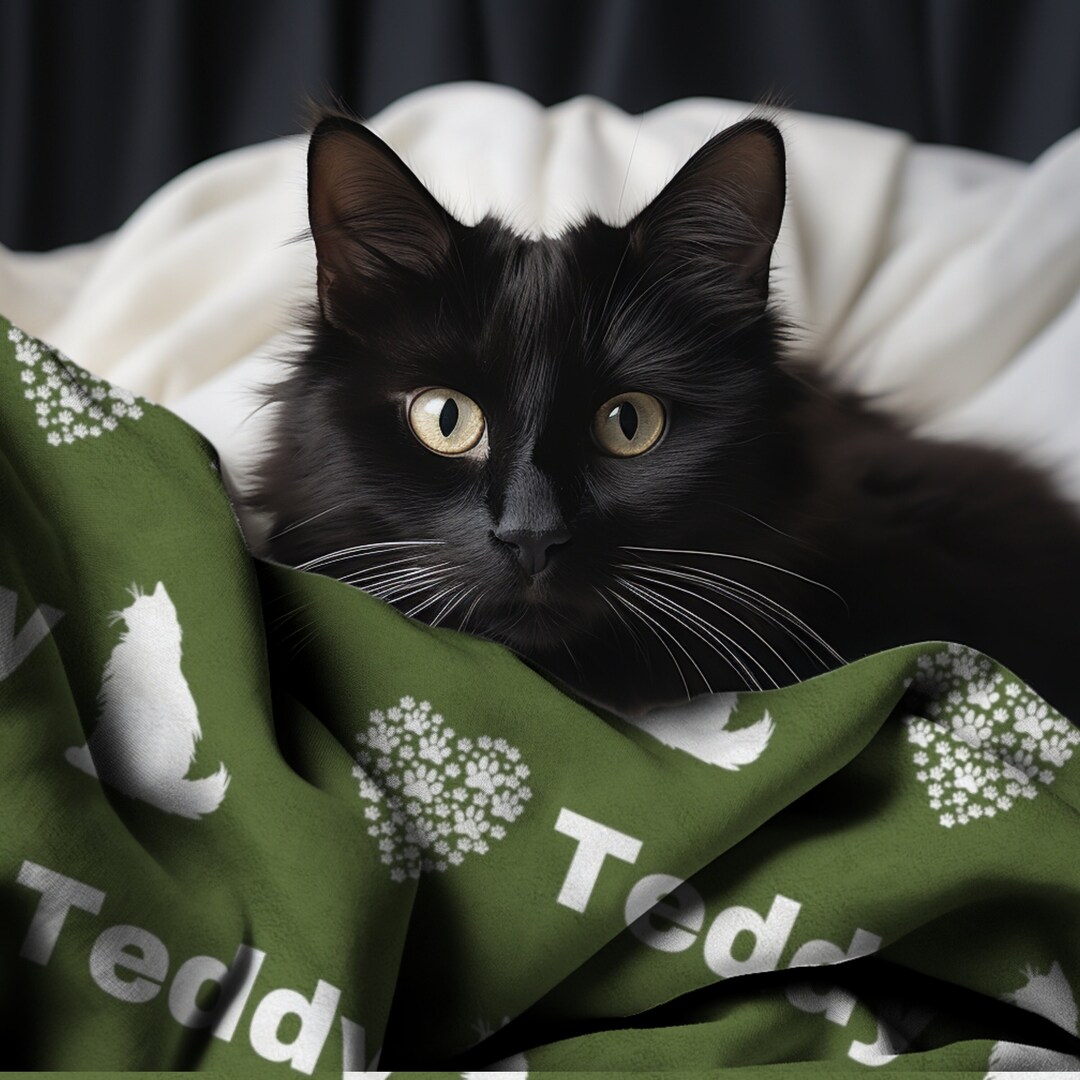 Personalized Persian Cat Plush Throw Blanket Custom Pet Name Blanket