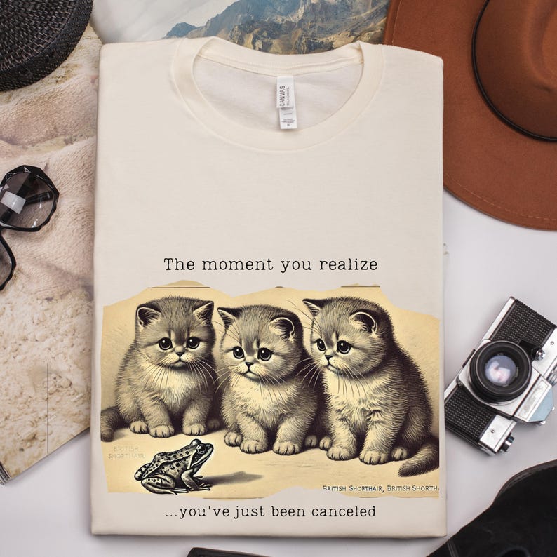 May include: A beige t-shirt with a humorous image of three kittens and a frog. The text reads "The moment you realize... you've just been canceled."