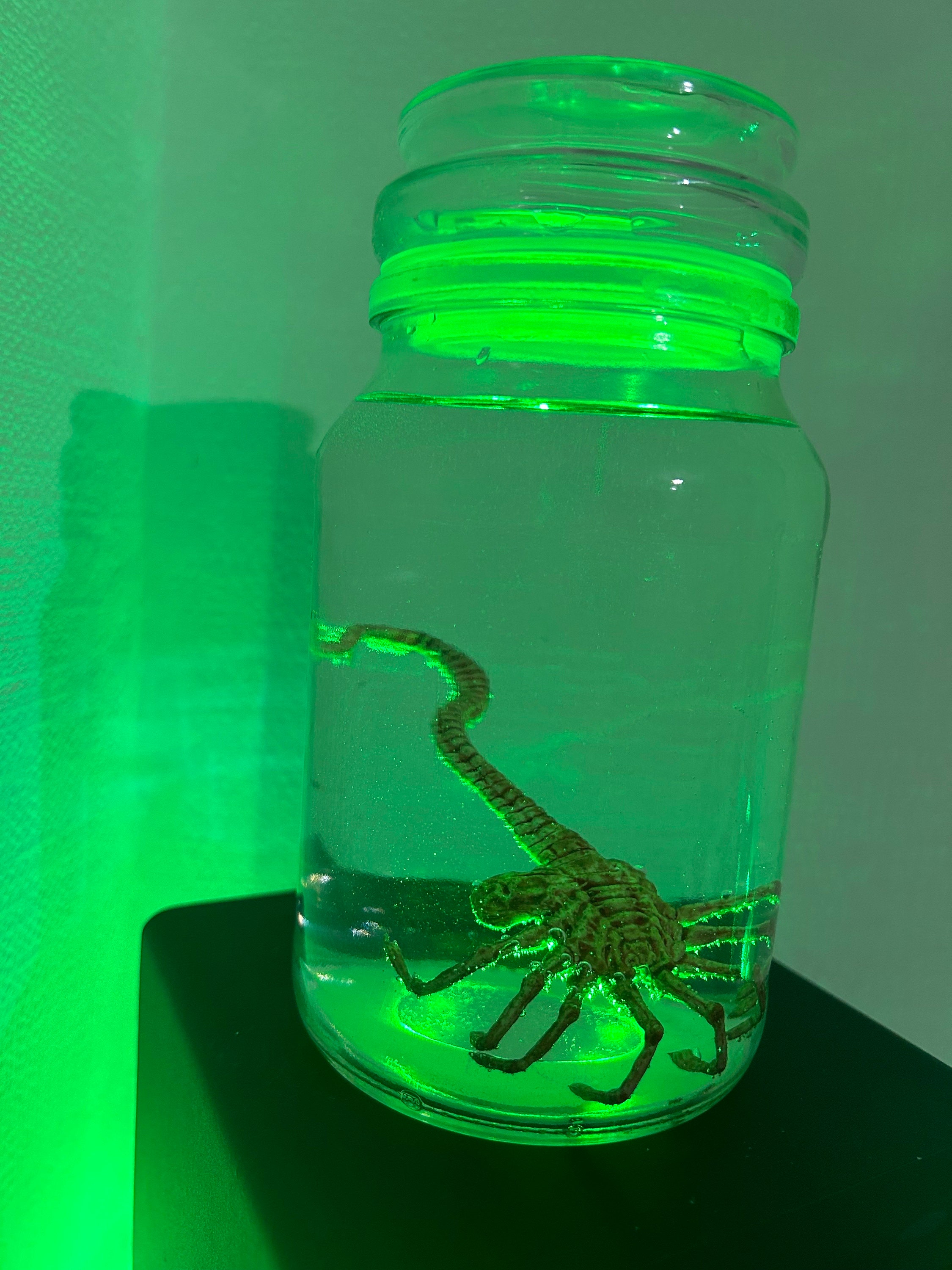 Alien Xenomorph Specimen in a Jar