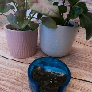 Puede incluir: Un posavasos de resina azul con un diseño de arena blanca y negra y purpurina dorada. El posavasos está sobre una superficie de madera junto a dos plantas en macetas.