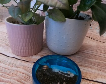 Custom Drink Coasters with Beach Scene. Made with real sand, shells and starfish.