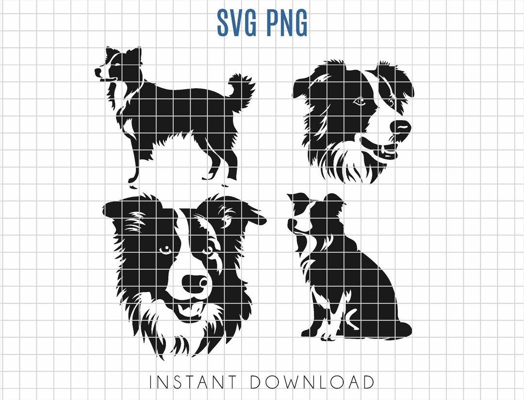 Border Collie SVG Bundle, Border Collie Silhouette Bundle, Easy to Cut