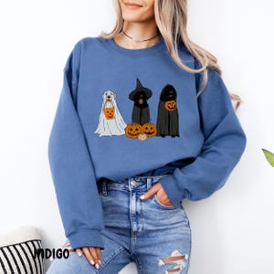 May include: A blue sweatshirt featuring three dogs in Halloween costumes. One dog is dressed as a ghost, another as a witch, and the third as a vampire. Each dog is holding a pumpkin-shaped treat bag. Pumpkins are placed in front of the dogs.