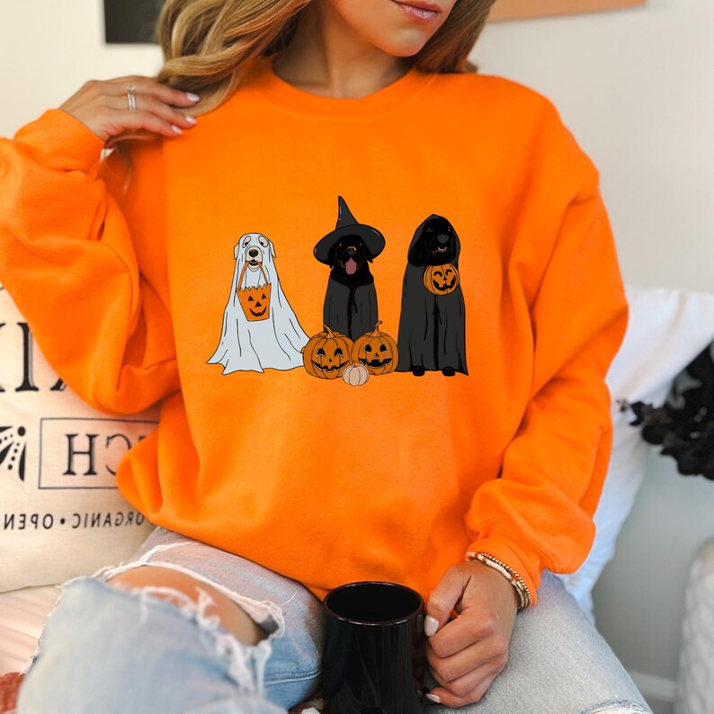 May include: Bright orange sweatshirt featuring a Halloween-themed graphic. The graphic depicts three dogs dressed in costumes: a ghost, a witch, and a dog with a jack-o'-lantern. The dogs are positioned in front of pumpkins. A fun and festive design for the spooky season.