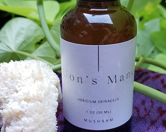 Lion's mane tincture