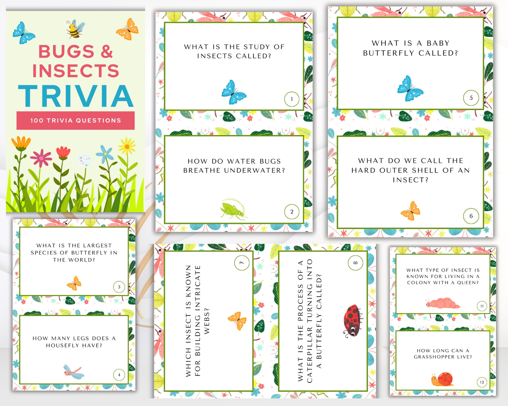 BUG and INSECT TRIVIA Card for Kids Insect Theme Trivia Cards Set ...