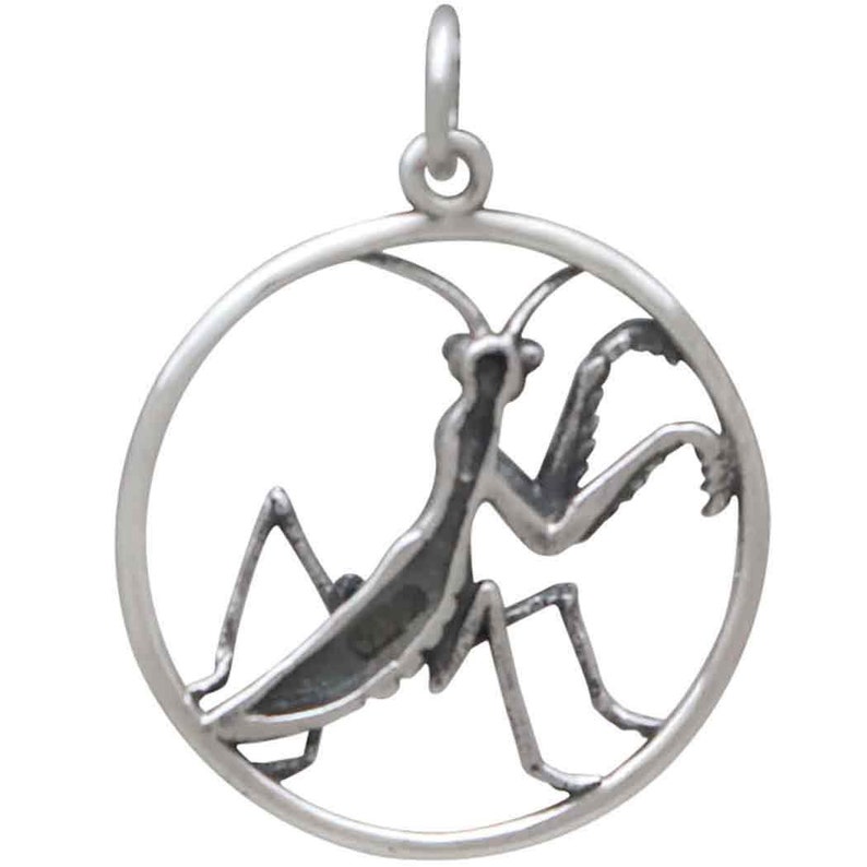 Puede incluir: Un amuleto de plata con forma de mantis religiosa, la mantis est&aacute; recortada en el c&iacute;rculo, creando un efecto de silueta.